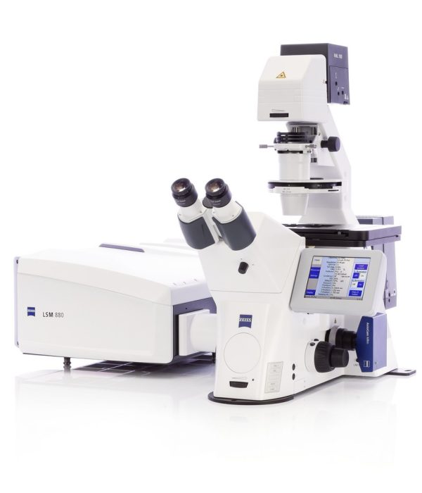 Zeiss LSM 880 Confocal Microscope_0